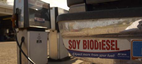 Sugar-Based Compound Turns Waste Into Affordable Biodiesel