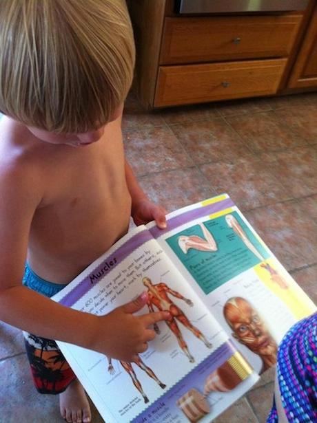 To review or not review, that is the question Sam_biology 050