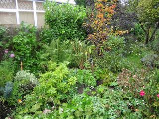 autumn garden, England