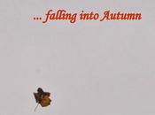 Falling...