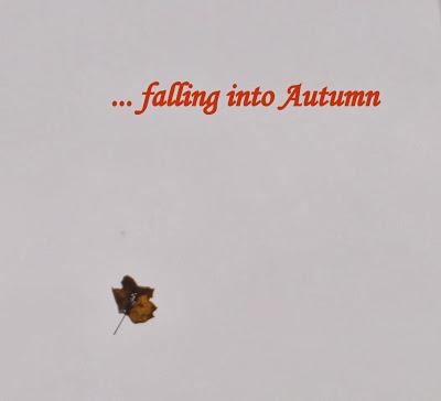 Falling...