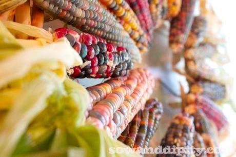 ornamental corn wreath