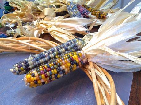 corn on willow wreath form