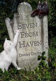 SEVEN FROM HAVEN BY DANIEL GROTTA