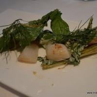 scallops with grilled fennel, sorrel and fennel pollen