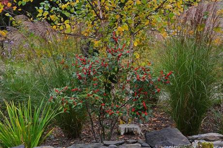 Revisiting the Garden at Federal Twist