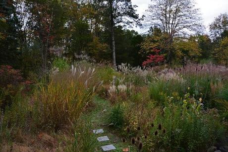 Revisiting the Garden at Federal Twist