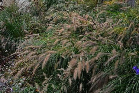 Revisiting the Garden at Federal Twist