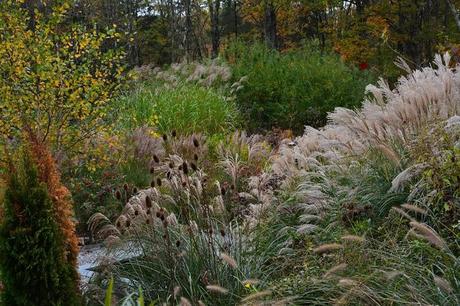 Revisiting the Garden at Federal Twist