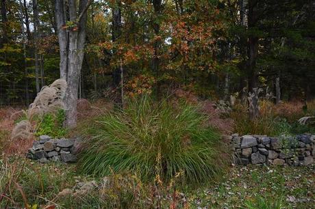 Revisiting the Garden at Federal Twist