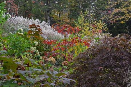 Revisiting the Garden at Federal Twist