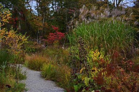 Revisiting the Garden at Federal Twist