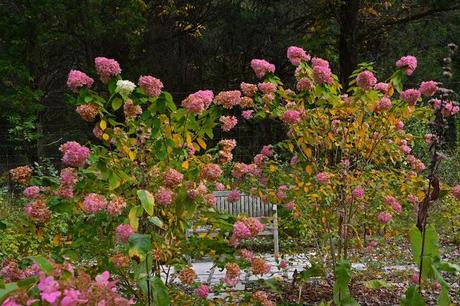 Revisiting the Garden at Federal Twist