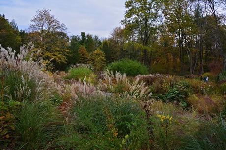 Revisiting the Garden at Federal Twist