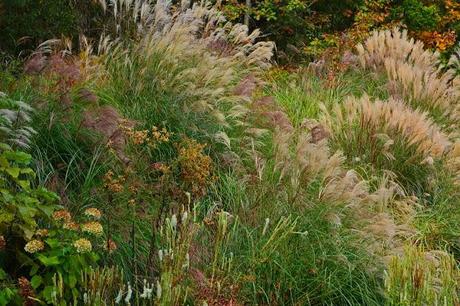 Revisiting the Garden at Federal Twist