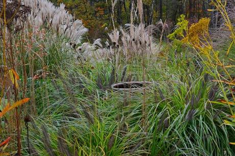 Revisiting the Garden at Federal Twist