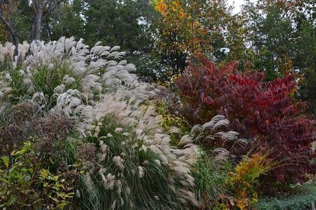 Revisiting the Garden at Federal Twist