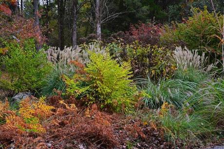 Revisiting the Garden at Federal Twist