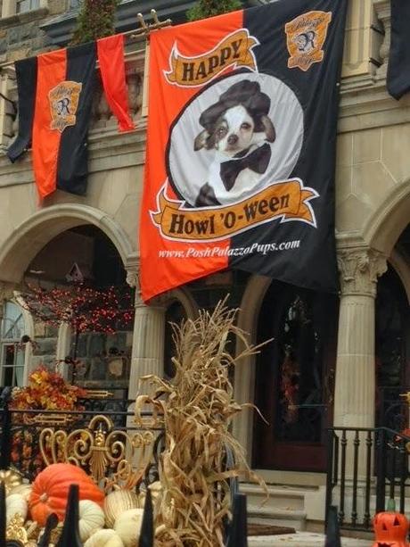 Howlaween Spooktacular Saratoga Style!