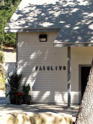 My Life Changing Experience in Paso Robles
