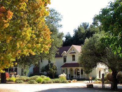 My Life Changing Experience in Paso Robles My Life Changing Experience in Paso Robles