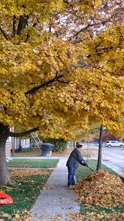 Fall is in the Air! The Leaves are Turning Colors! OH YES!