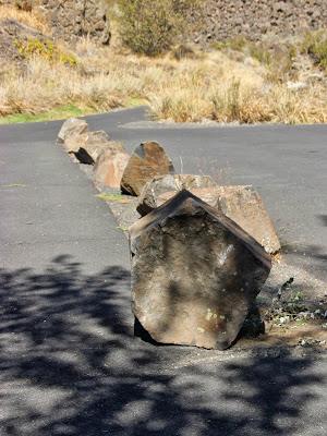 Fun in the Scablands