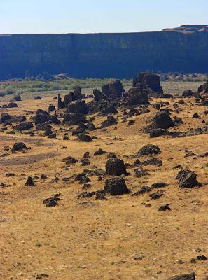 Fun in the Scablands