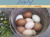 Lesson Fresh Eggs Daily Lisa Steele Book Review