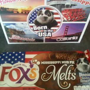 A taste of the USA thanks to Vinnie the Panda