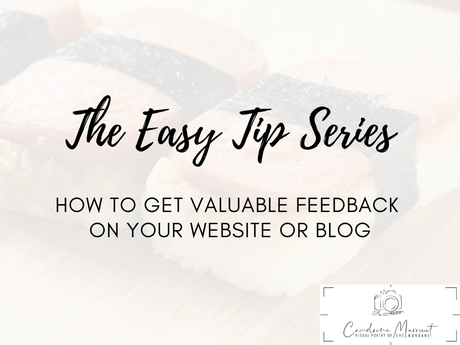 The Easy Tip Series: Get valuable feedback on your website or blog by paying attention to lazy pitches