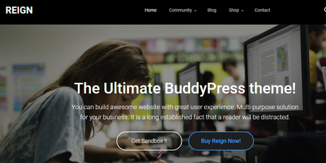 Best BuddyPress Themes