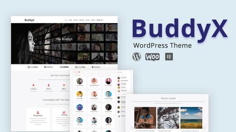 BuddyPress Theme