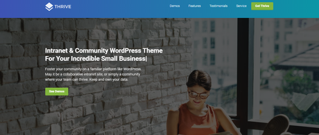 WordPress Community Themes