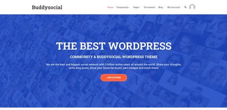 BuddySocial Theme