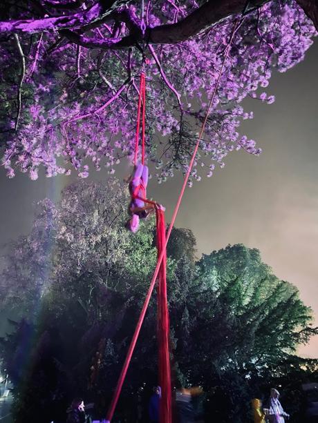 Playground festival acrobatics