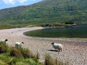 Lough Mweelrea