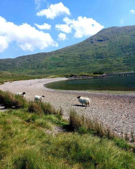 Doo Lough to Mweelrea Doo Lough to Mweelrea