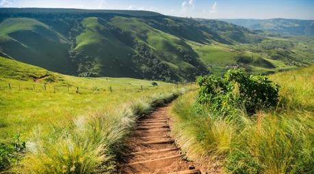Important Guidelines in the Choosing a Landscape Architecture