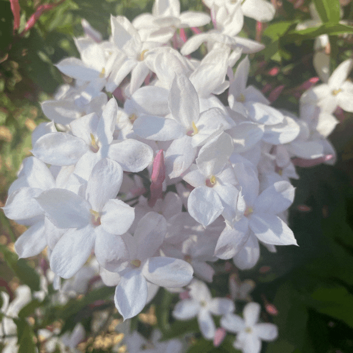 10 Strategies I’m Using To Cope During the Pandemic 10 Strategies I’m Using To Cope During the Pandemic