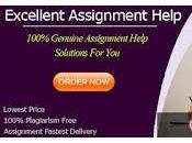 Custom Essay Help Leading Online Firm Sydney Your Coursework Expertly