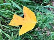 Month Review September 2021