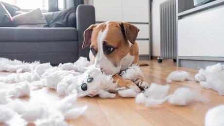 Don't fix what isn't broken Don't fix what isn't broken