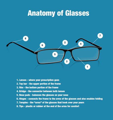 anatomy of eyeglasses