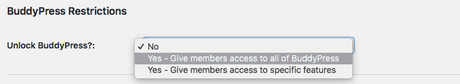 pmpro_buddypress-edit-level-restrictions