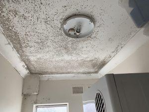 Right here is Why You Must Employ Experts To Eliminate Mould From Ceiling