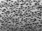 Comprehensive Overview Mould Removal-Realities Must Take Into Consideration