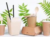 Make Your Home More Eco-friendly