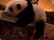 Panda WEEDLOVE Assortment