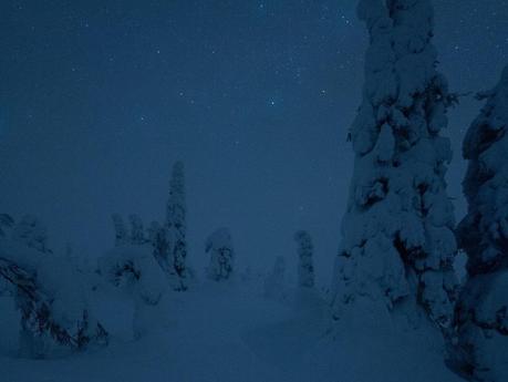 Polar night – one of the many faces of the Finnish winter